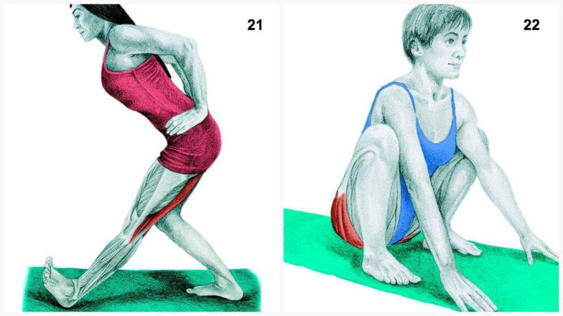 Что Вы тянете на самом деле: растяжка мышц в картинках мышцы, растяжка, спорт, фитнес