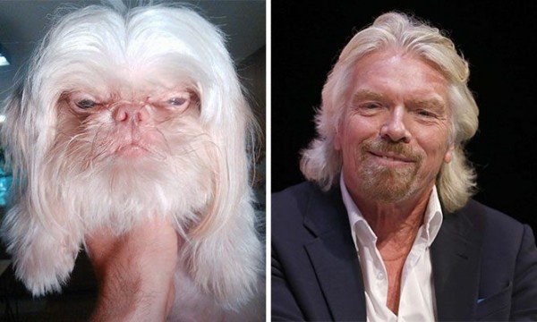 quibbll-richard-branson