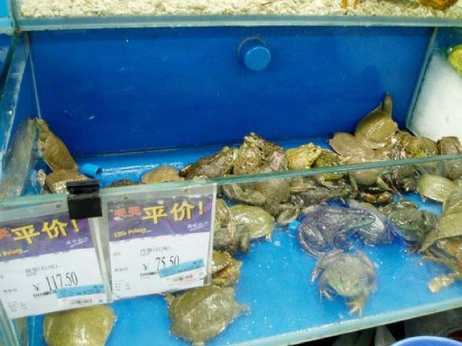 17 странных продуктов, которые ты найдешь лишь в китайских супермаркетах!